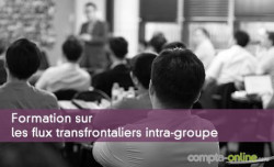 Les flux transfrontaliers intra-groupe