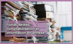 Fonds ddis : comptabilisation et information en annexe