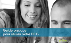 Guide pratique pour russir votre DCG