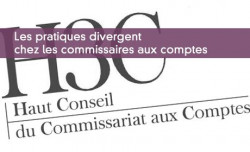 Les pratiques divergent chez les commissaires aux comptes