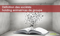 Dfinition des socits holding animatrices de groupe