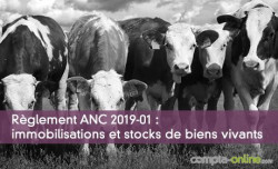 Règlement ANC 2019-01 : immobilisations et stocks de biens vivants