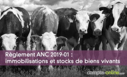 Rglement ANC 2019-01 : immobilisations et stocks de biens vivants