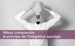 Mieux comprendre  le principe de l'intgration sauvage