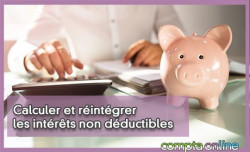 Calculer et rintgrer les intrts non dductibles