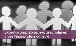 Experts-comptables, avocats, notaires, vivez l'interprofessionnalit