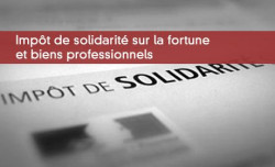 ISF et biens professionnels