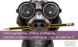 Dmographie, chiffre d'affaires, transformation numrique : o en est-on ?