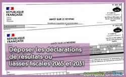 Déposer les déclarations de résultats ou liasses fiscales 2065 et 2031