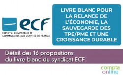 Détail des 16 propositions d'ECF