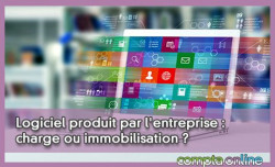 Logiciel produit par l'entreprise : charge ou immobilisation ?