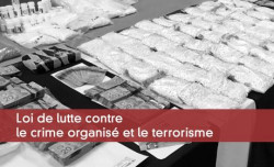 Loi de lutte contre le crime organis et le terrorisme