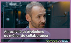 Attractivit et volutions du mtier de collaborateur : le point de vue d'un manager expriment