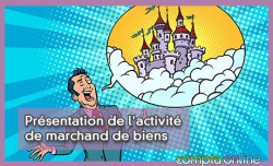 Prsentation de l'activit de marchand de biens