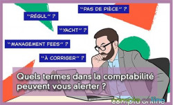 Quels termes dans la comptabilit peuvent vous alerter ? 