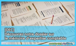 Dcouvrez notre dossier sur le mmoire d'expertise comptable