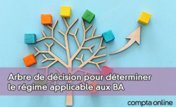 Arbre de dcision pour dterminer le rgime applicable aux BA