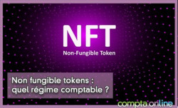 Non fungible tokens : quel rgime comptable ?