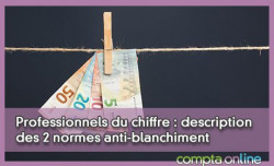 Professionnels du chiffre : description des 2 normes anti-blanchiment