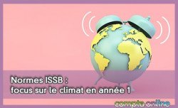 Normes ISSB : focus sur le climat en anne 1