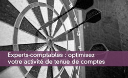 Experts-comptables : optimisez votre activit de tenue de comptes