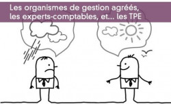 Les organismes de gestion agrs, les experts-comptables, et... les TPE