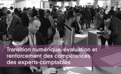 Transition numrique, valuation et renforcement des comptences des experts-comptables