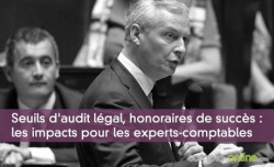 Seuils d'audit lgal, honoraires de succs, nouvelles missions : les impacts pour les experts-comptables