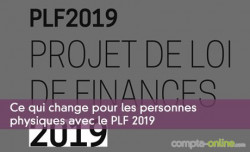 Qu'est-ce qui change pour les personnes physiques avec le PLF 2019 ?