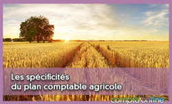 Les spcificits du plan comptable agricole