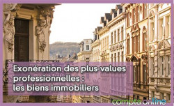 Exonration des plus-values professionnelles : les biens immobiliers