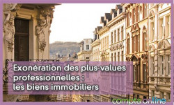 Exonration des plus-values professionnelles : les biens immobiliers