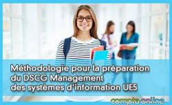 Méthodologie pour la préparation du DSCG Management des systèmes d'information UE5
