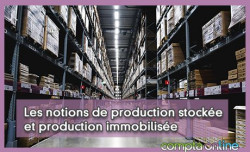 Les notions de production stockée et production immobilisée