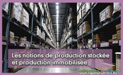 Les notions de production stocke et production immobilise