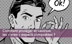 Comment protger et valoriser les  vrais  experts comptables ?