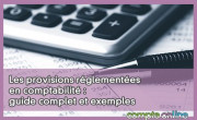 Les provisions rglementes en comptabilit : guide complet et exemples