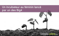 Un incubateur au fminin lanc par un des Big4