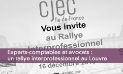 Experts-comptables et avcoats : un rallye interprofessionnel au Louvre