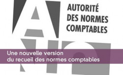 Une nouvelle version du recueil des normes comptables