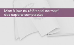 Mise  jour du rfrentiel normatif des experts-comptables