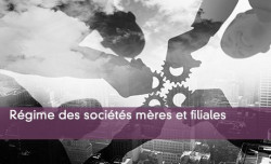Rgime des socits mres et filiales