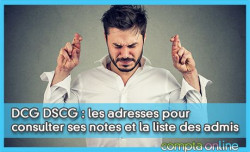 DCG DSCG : les adresses pour consulter ses notes et la liste des admis