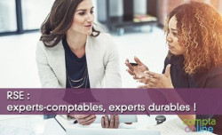 RSE : experts-comptables, experts durables !