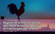 Rgime de protection sociale spcifique du secteur agricole en France, gr par la MSA