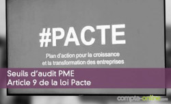 Seuils d'audit PME - Article 9 de la loi Pacte