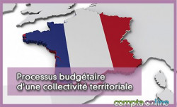 Processus budgétaire d'une collectivité territoriale