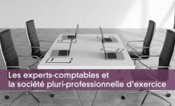Les experts-comptables et la socit pluri-professionnelle d'exercice