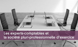 Les experts-comptables et la socit pluri-professionnelle d'exercice