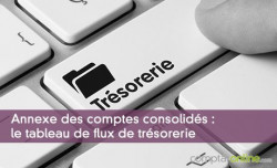 Annexe des comptes consolids : le tableau de flux de trsorerie